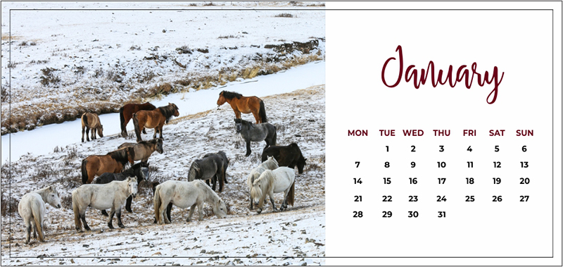 Mongolia events and festivals calendar